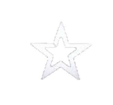 Polystyrene Perforated Star