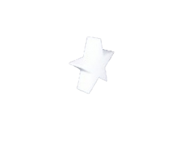 Styrofoam Star
